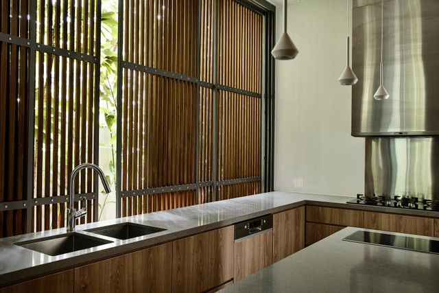 'Rung nhiet doi' ben trong ngoi nha giua pho-Hinh-5