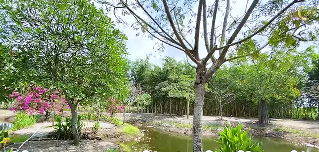 Choáng ngợp khu vườn rộng 20.000m2 của ca sĩ Minh Hằng tại Đồng Nai Choang ngop khu vuon rong 20.000m2 cua ca si Minh Hang tai Dong Nai