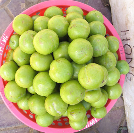 Cách phân biệt mận Trung Quốc và mận Việt Nam - Hình 6 Cach phan biet man Trung Quoc va man Viet Nam-Hinh-6