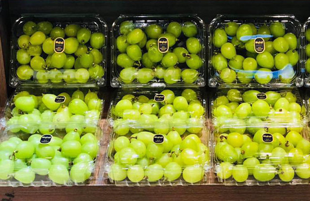 Nho mẫu đơn Nhật Bản có gì đặc biệt mà giá chát tới 1 triệu đồng/kg? Nho mau don Nhat Ban co gi dac biet ma gia chat toi 1 trieu dong/kg?