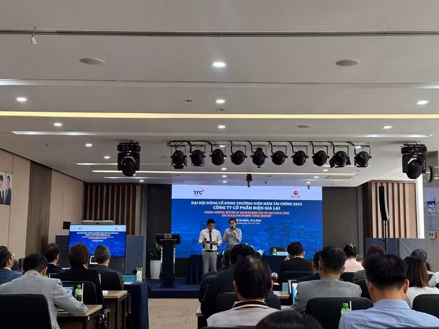 GEG tra thu lao 50 trieu dong/thang cho Chu tich cong ty