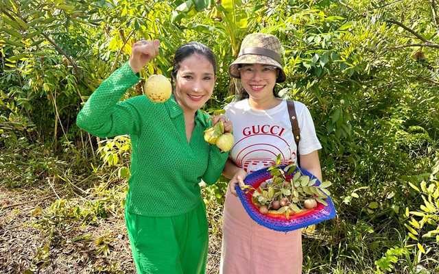 Đi xem vườn cây 600 m2 sum suê trái của MC Cát Tường - Hình 5 Di xem vuon cay 600 m2 sum sue trai cua MC Cat Tuong-Hinh-5