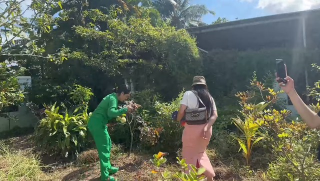 Đi xem vườn cây 600 m2 sum suê trái của MC Cát Tường - Hình 2 Di xem vuon cay 600 m2 sum sue trai cua MC Cat Tuong-Hinh-2