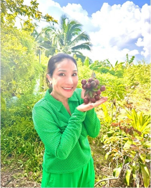 Đi xem vườn cây 600 m2 sum suê trái của MC Cát Tường - Hình 4 Di xem vuon cay 600 m2 sum sue trai cua MC Cat Tuong-Hinh-4