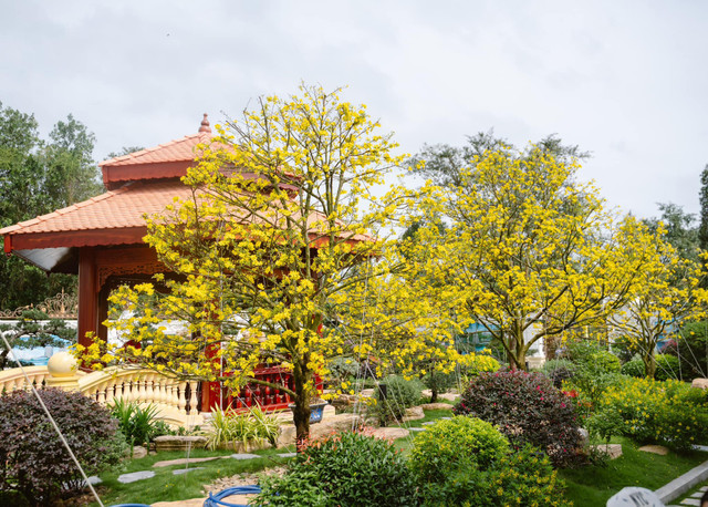 Cận cảnh dinh thự Lang Truyền được dát vàng rộng 3.000m2 - Hình 10 Can canh dinh thu Lang Truyen duoc dat vang rong 3.000m2-Hinh-10