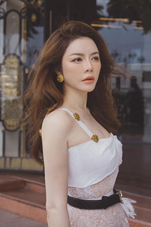 Người đẹp Lý Nhã Kỳ và khối tài sản đồ sộ - Hình 8 Nguoi dep Ly Nha Ky va khoi tai san do so-Hinh-8