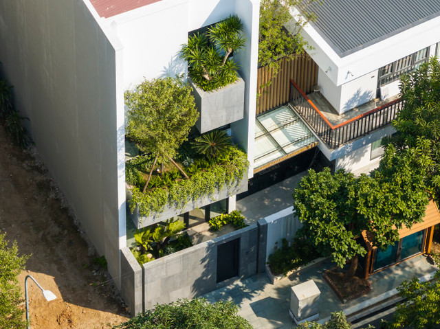 Me dam ngoi nha ngap sac xanh o Phu Tho-Hinh-5