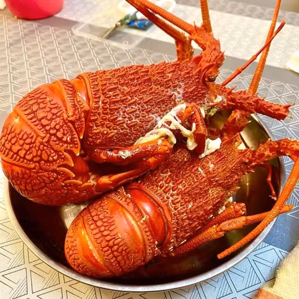 Can trong voi duoi tom hum Uc gia re rao day cho mang-Hinh-11