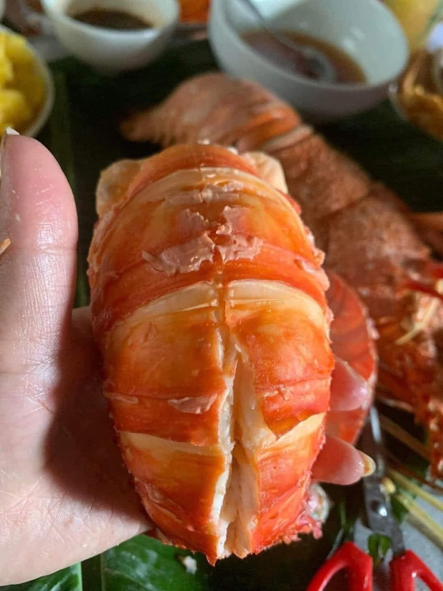Cẩn trọng với đuôi tôm hùm Úc giá rẻ rao đầy chợ mạng - Hình 3 Can trong voi duoi tom hum Uc gia re rao day cho mang-Hinh-3