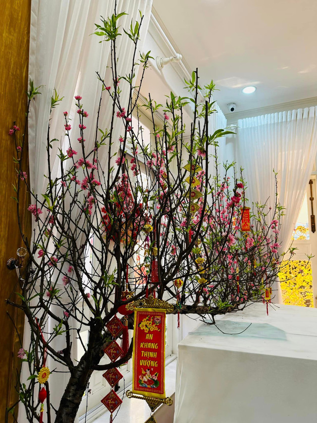 Vi Oanh sở hữu biệt thự đầy hoa trái - Hình 3 Vi Oanh so huu biet thu day hoa trai-Hinh-3