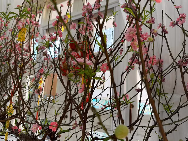 Vi Oanh so huu biet thu day hoa trai-Hinh-4