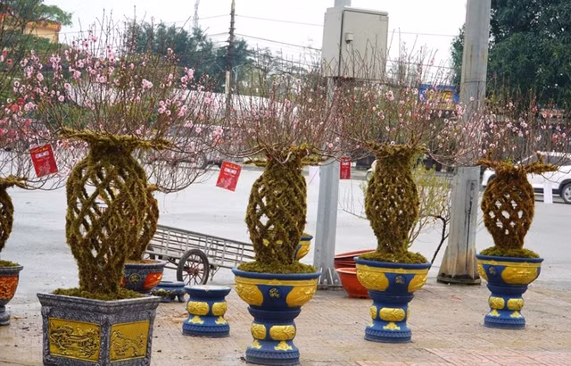 Nhung canh dao loc binh doc la-Hinh-10
