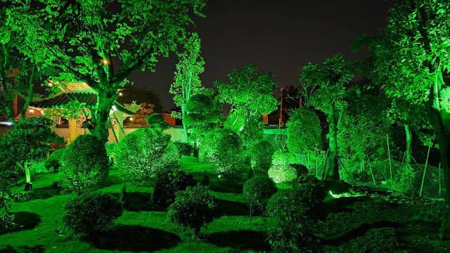 Diễn viên Việt Trinh sở hữu nhà vườn đáng mơ ước ở Bình Dương - Hình 7 Dien vien Viet Trinh so huu nha vuon dang mo uoc o Binh Duong-Hinh-7