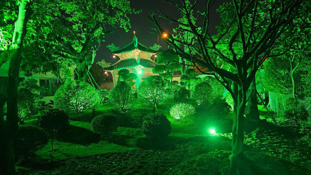 Diễn viên Việt Trinh sở hữu nhà vườn đáng mơ ước ở Bình Dương - Hình 3 Dien vien Viet Trinh so huu nha vuon dang mo uoc o Binh Duong-Hinh-3