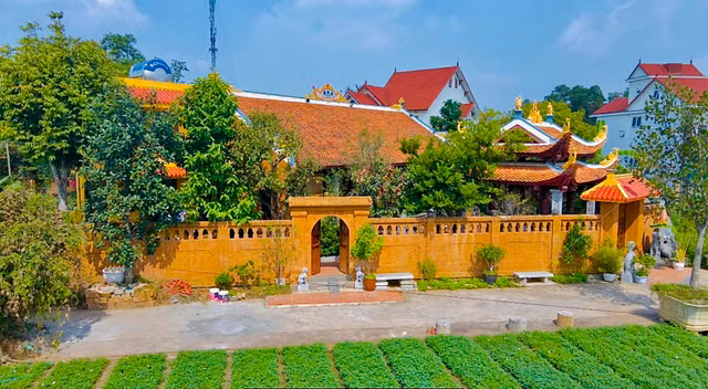 Can canh 2 biet phu bac ty cua nghe si hai Vuong Rau-Hinh-8