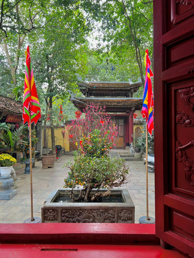 Can canh 2 biet phu bac ty cua nghe si hai Vuong Rau-Hinh-3