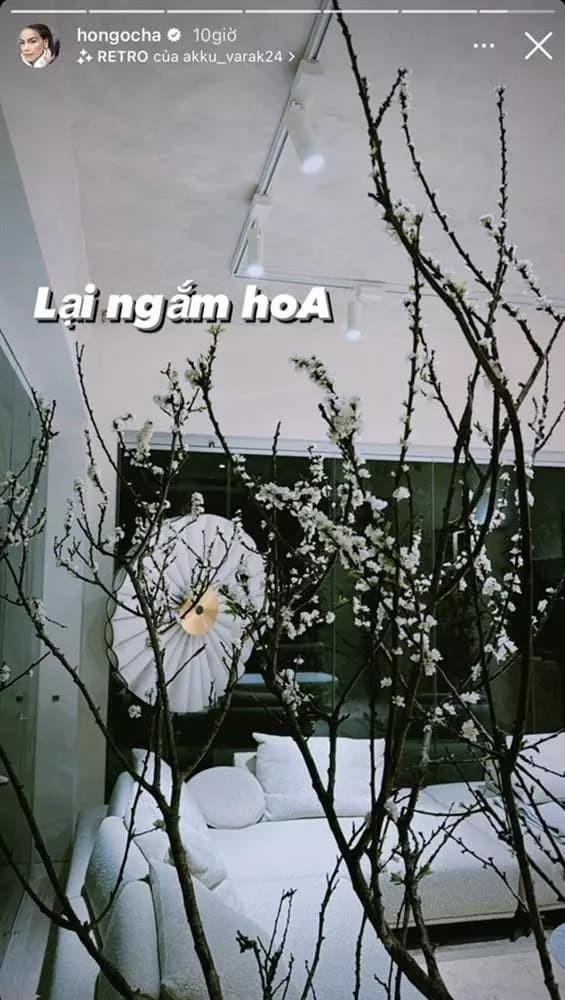 Không gian Tết lộng lẫy của gia đình Hồ Ngọc Hà trong biệt thự 30 tỷ - Hình 7 Khong gian Tet long lay cua gia dinh Ho Ngoc Ha trong biet thu 30 ty-Hinh-7