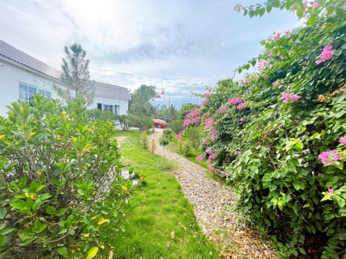 Biệt thự nhà vườn của “Nam Tào” Đỗ Duy Nam ngập hoa trái - Hình 4 Biet thu nha vuon cua “Nam Tao” Do Duy Nam ngap hoa trai-Hinh-4