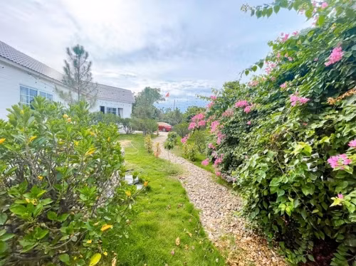 Biệt thự nhà vườn của “Nam Tào” Đỗ Duy Nam ngập hoa trái - Hình 4 Biet thu nha vuon cua “Nam Tao” Do Duy Nam ngap hoa trai-Hinh-4