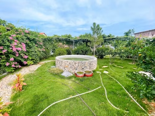 Biệt thự nhà vườn của “Nam Tào” Đỗ Duy Nam ngập hoa trái - Hình 8 Biet thu nha vuon cua “Nam Tao” Do Duy Nam ngap hoa trai-Hinh-8