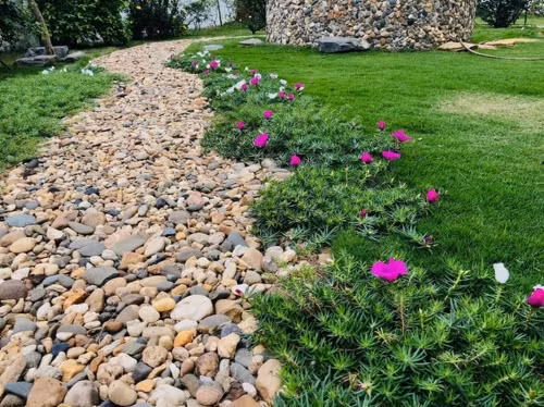 Biệt thự nhà vườn của “Nam Tào” Đỗ Duy Nam ngập hoa trái - Hình 7 Biet thu nha vuon cua “Nam Tao” Do Duy Nam ngap hoa trai-Hinh-7