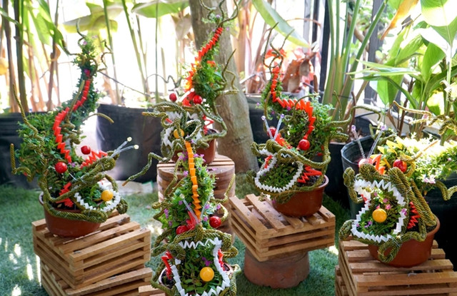 Loạt bonsai hình rồng độc đáo hút khách Tết Giáp Thìn 2024 Loat bonsai hinh rong doc dao hut khach Tet Giap Thin 2024