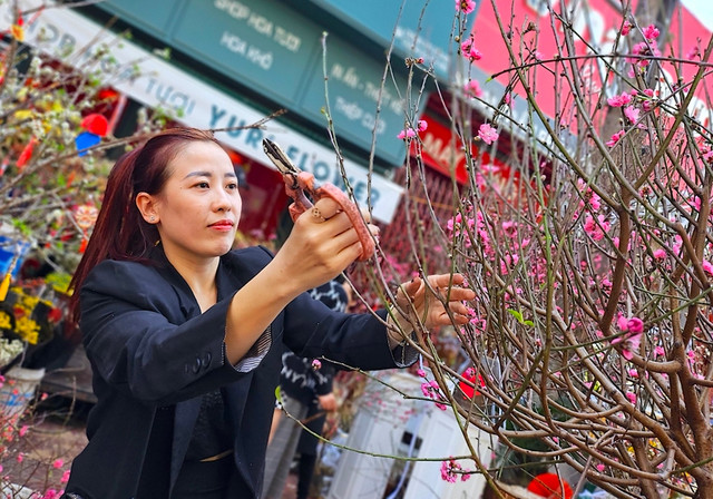 Đào, quất mini bất ngờ đắt hàng ngày cận Tết - Hình 8 Dao, quat mini bat ngo dat hang ngay can Tet-Hinh-8