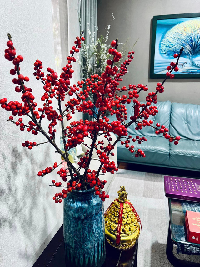 Cận cảnh không gian sống ngập sắc xuân của MC Diễm Quỳnh - Hình 5 Can canh khong gian song ngap sac xuan cua MC Diem Quynh-Hinh-5