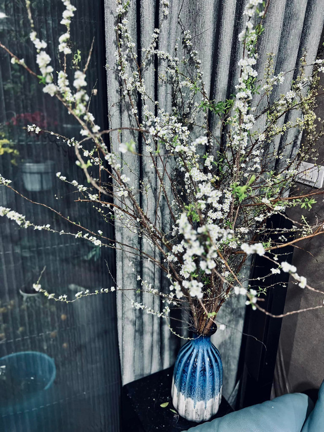 Cận cảnh không gian sống ngập sắc xuân của MC Diễm Quỳnh - Hình 3 Can canh khong gian song ngap sac xuan cua MC Diem Quynh-Hinh-3