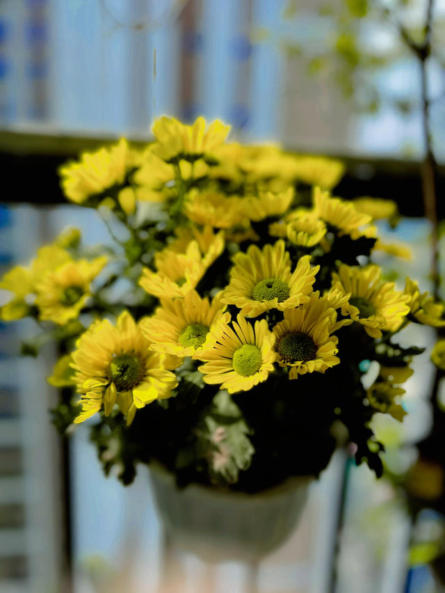 Cận cảnh không gian sống ngập sắc xuân của MC Diễm Quỳnh - Hình 9 Can canh khong gian song ngap sac xuan cua MC Diem Quynh-Hinh-9