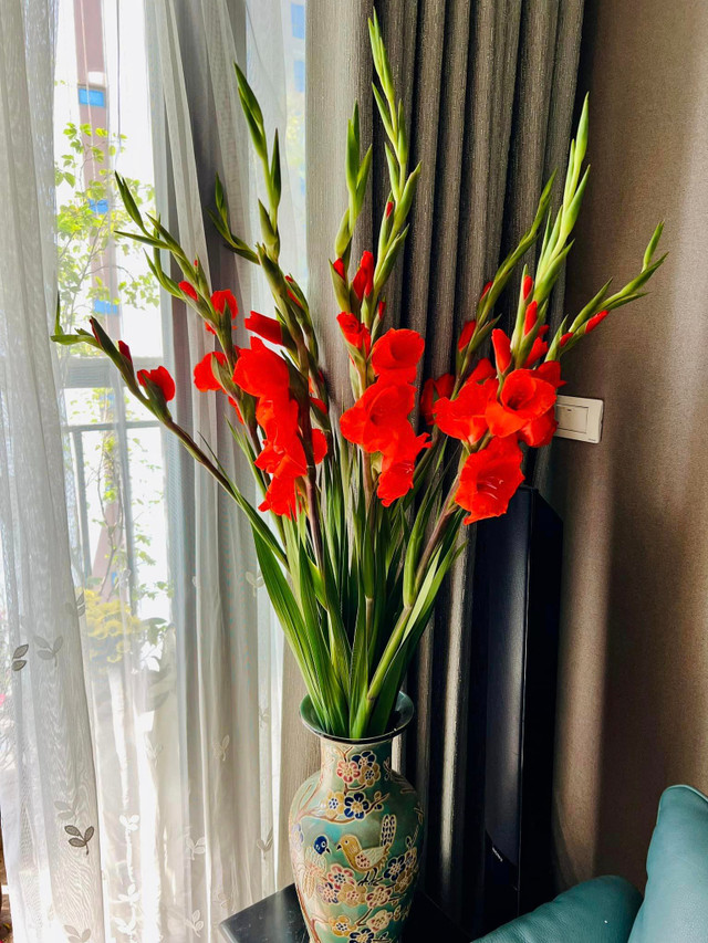 Cận cảnh không gian sống ngập sắc xuân của MC Diễm Quỳnh - Hình 7 Can canh khong gian song ngap sac xuan cua MC Diem Quynh-Hinh-7