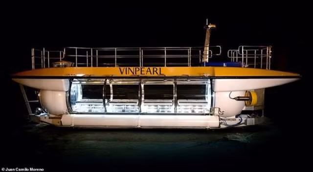 Tau ngam cua Vingroup sap ve Viet Nam: Gia dich vu cao the nao?