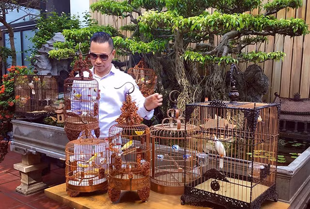 Chim quy toc tien ty song trong phong dieu hoa ca ngay