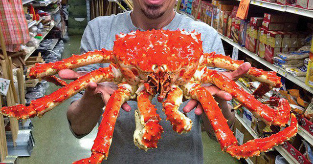 Cherry, việt quất, cua hoàng đế... giá rẻ tranh nhau ở chợ Việt - Hình 6 Cherry, viet quat, cua hoang de... gia re tranh nhau o cho Viet-Hinh-6