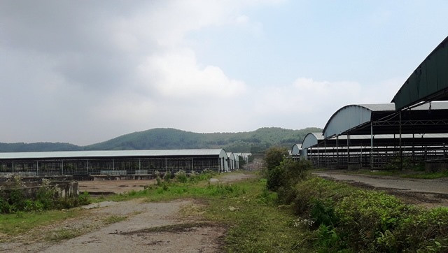 Vén màn bí mật dự án nghìn tỷ “đoản mệnh” liên quan đến ông Trần Bắc Hà - Hình 10 Ven man bi mat du an nghin ty “doan menh” lien quan den ong Tran Bac Ha-Hinh-10