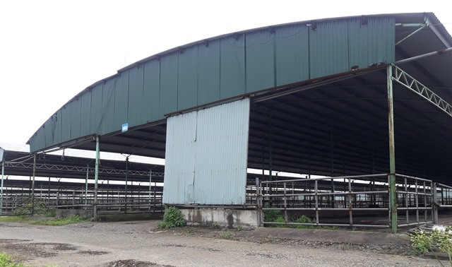 Vén màn bí mật dự án nghìn tỷ “đoản mệnh” liên quan đến ông Trần Bắc Hà - Hình 7 Ven man bi mat du an nghin ty “doan menh” lien quan den ong Tran Bac Ha-Hinh-7