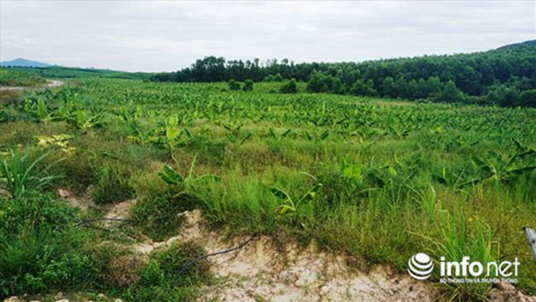 Vén màn bí mật dự án nghìn tỷ “đoản mệnh” liên quan đến ông Trần Bắc Hà - Hình 9 Ven man bi mat du an nghin ty “doan menh” lien quan den ong Tran Bac Ha-Hinh-9