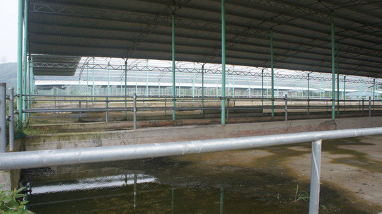 Vén màn bí mật dự án nghìn tỷ “đoản mệnh” liên quan đến ông Trần Bắc Hà - Hình 15 Ven man bi mat du an nghin ty “doan menh” lien quan den ong Tran Bac Ha-Hinh-15