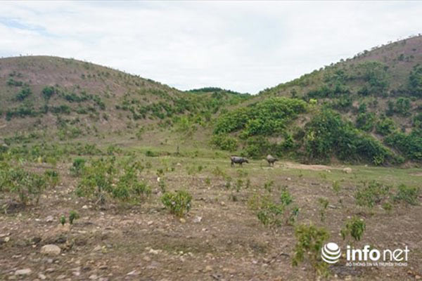 Vén màn bí mật dự án nghìn tỷ “đoản mệnh” liên quan đến ông Trần Bắc Hà - Hình 8 Ven man bi mat du an nghin ty “doan menh” lien quan den ong Tran Bac Ha-Hinh-8