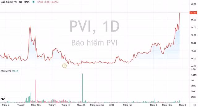 PetroVietnam sap thoai von khoi bao hiem PVI-Hinh-4