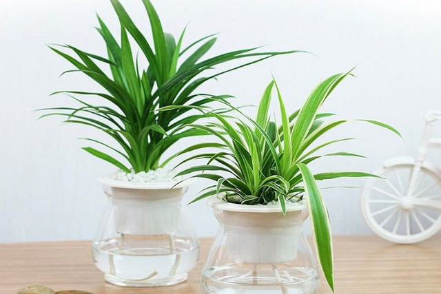 Những quan niệm về phong thủy nhà ở sai bét nhè - Hình 7 Nhung quan niem ve phong thuy nha o sai bet nhe-Hinh-7