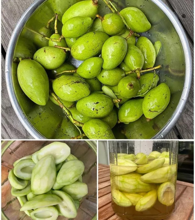 Cận cảnh khu vườn đủ loại trái cây trong biệt thự của Tăng Thanh Hà - Hình 11 Can canh khu vuon du loai trai cay trong biet thu cua Tang Thanh Ha-Hinh-11