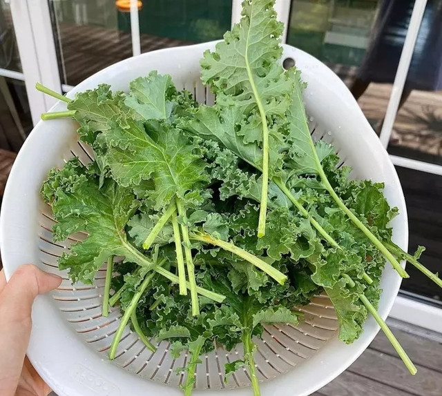 Cận cảnh khu vườn đủ loại trái cây trong biệt thự của Tăng Thanh Hà - Hình 12 Can canh khu vuon du loai trai cay trong biet thu cua Tang Thanh Ha-Hinh-12