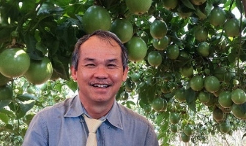 Bên trong trang trại trồng chuối hàng nghìn ha của đại gia Đoàn Nguyên Đức Ben trong trang trai trong chuoi hang nghin ha cua dai gia Doan Nguyen Duc
