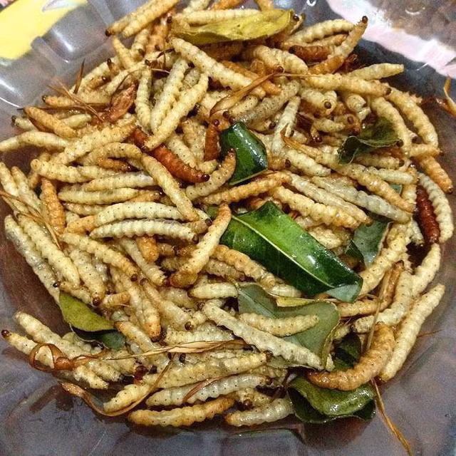 Dac san nhin phat on gia 500.000 dong/kg van chay hang-Hinh-9