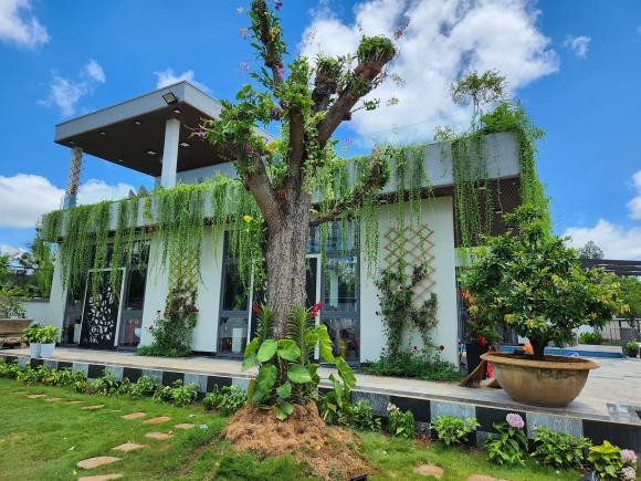 Vào xem biệt thự 'đi mỏi chân' của Quách Thành Danh Vao xem biet thu 'di moi chan' cua Quach Thanh Danh