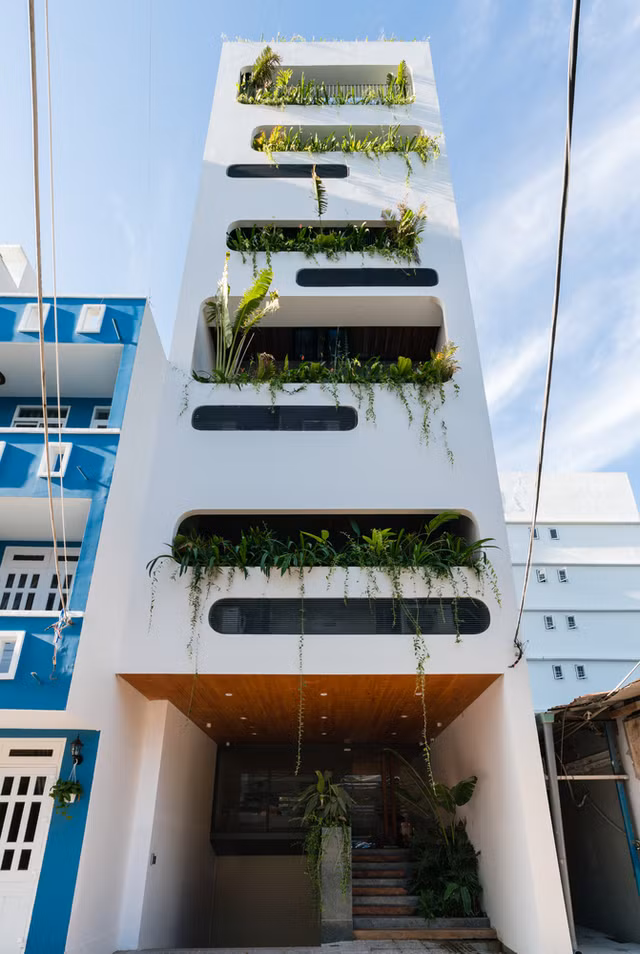 Nha 7 tang o Vung Tau dep muot mat voi vo van cay xanh