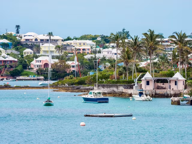 Cac ung vien Tong thong My giau co nao?-Hinh-7