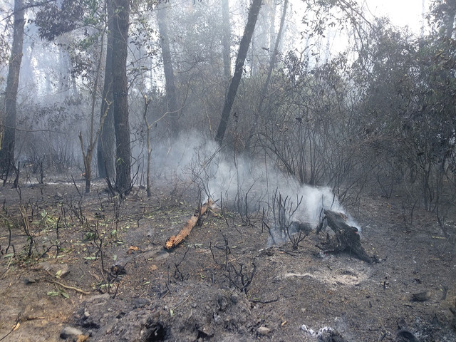 Quân dân oằn mình chiến đấu với giặc lửa suốt 3 ngày ở Hà Tĩnh - Hình 12 Quan dan oan minh chien dau voi giac lua suot 3 ngay o Ha Tinh-Hinh-12