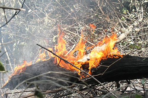 Quân dân oằn mình chiến đấu với giặc lửa suốt 3 ngày ở Hà Tĩnh - Hình 9 Quan dan oan minh chien dau voi giac lua suot 3 ngay o Ha Tinh-Hinh-9